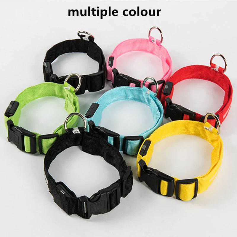 Rechargeable LED Dog Collar