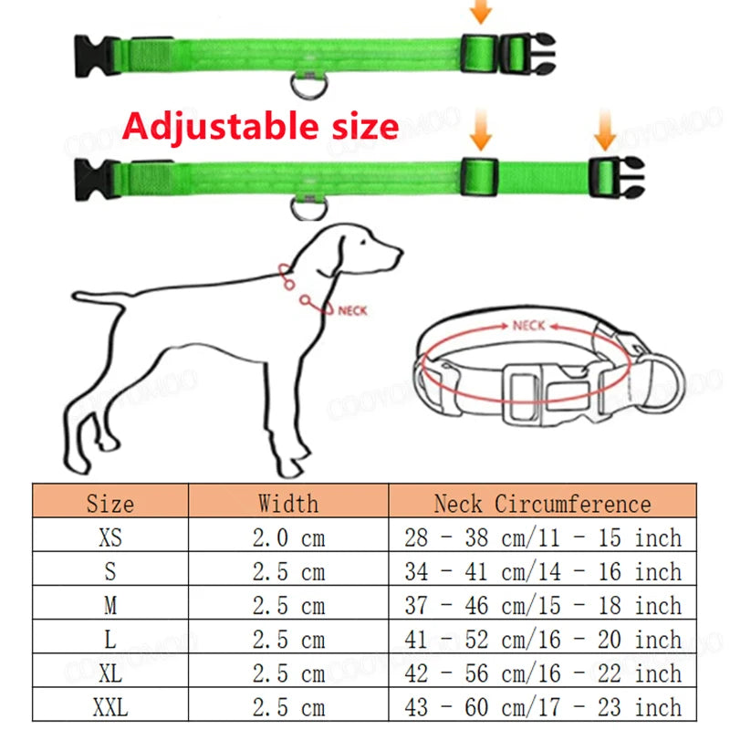 Rechargeable LED Dog Collar