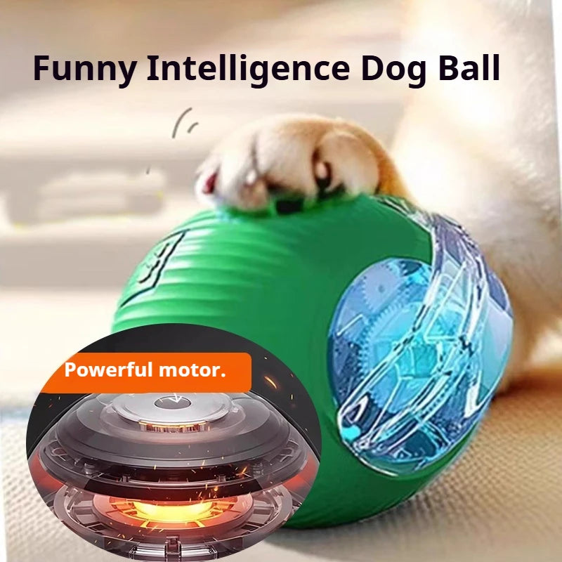 Interactive Dog Ball Toy