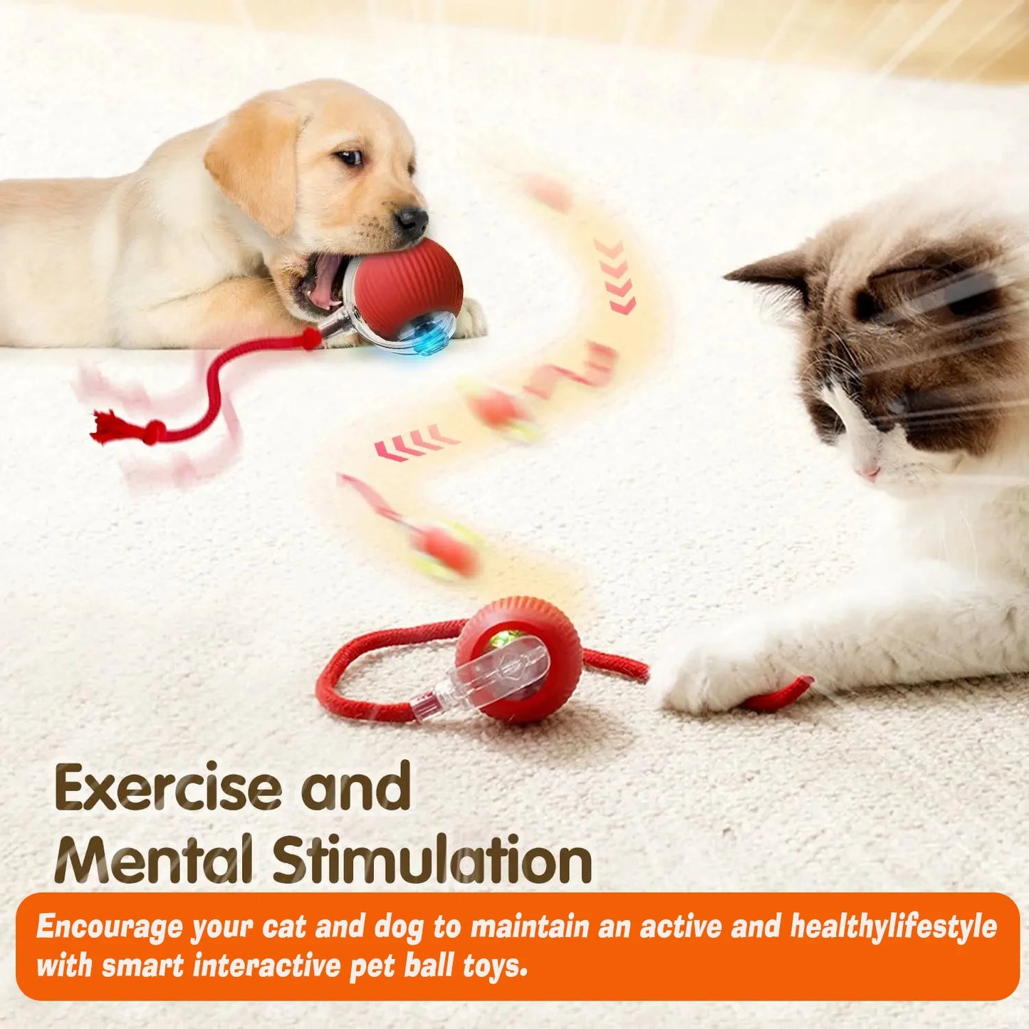 Interactive Dog Ball Toy