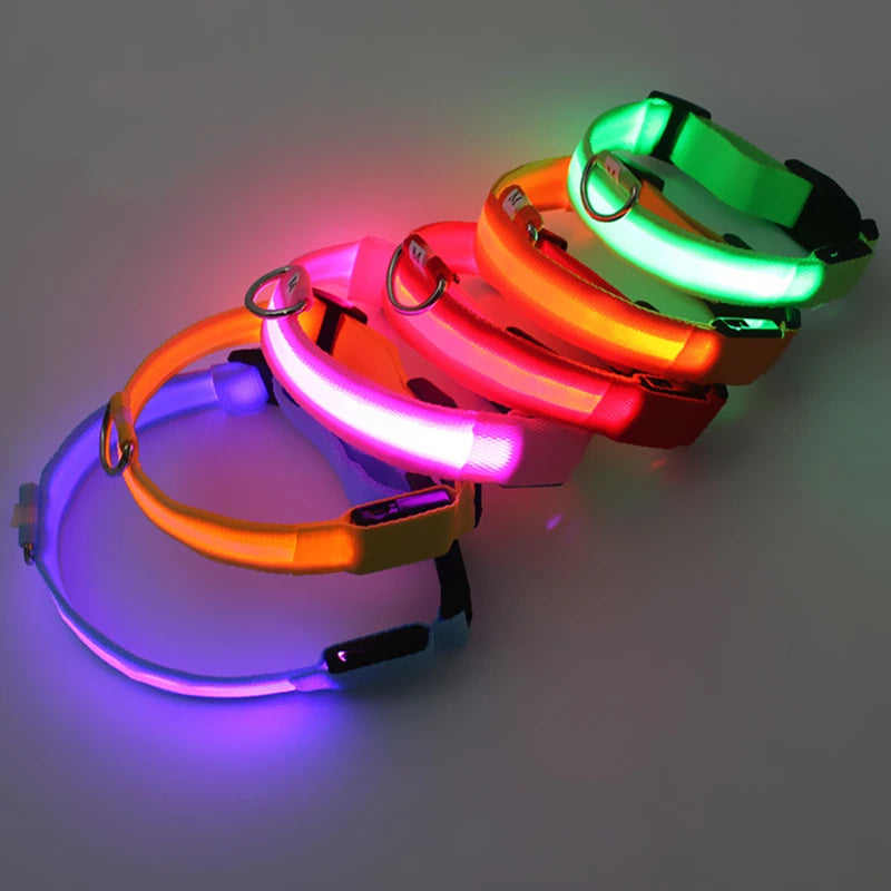 Rechargeable LED Dog Collar