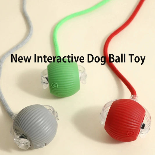Interactive Dog Ball Toy