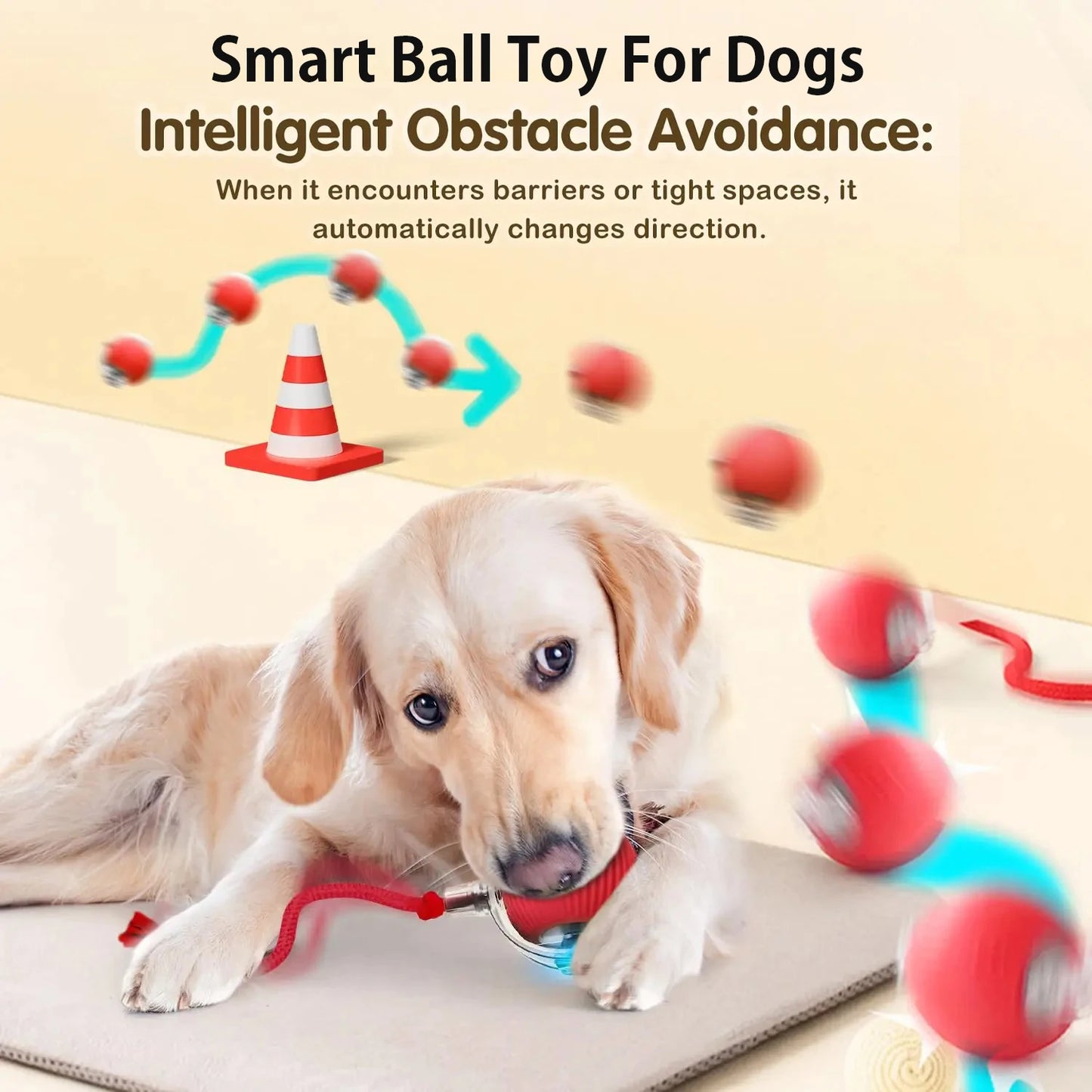 Interactive Dog Ball Toy